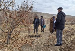 وقف سه قطعه زمین کشاورزی در شهرستان خوسف