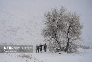 مسدود شدن راه ارتباطی سروآباد-اورامان-پاوه به دلیل بارش برف