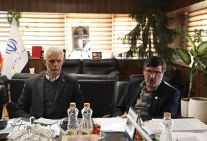 بررسی برنامه های گرامیداشت دهه فجر با حضور معاون وزیر ورزش