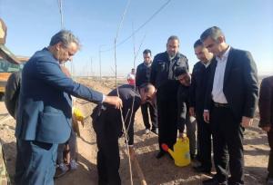 پویش درختکاری به یاد شهدای مقاومت در مهریز برگزار شد