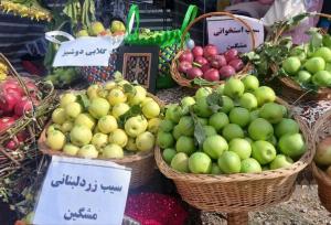 جشنواره سیب در مشگین‌شهر برگزار شد