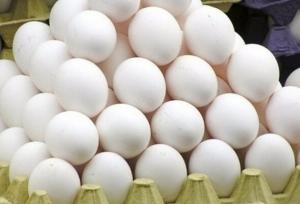 افزایش ۱۰۰ درصدی صادرات تخم مرغ خوراکی از استان مرکزی