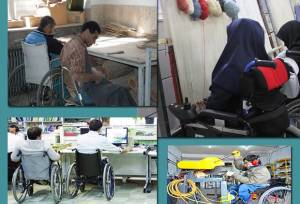 گودرزی: ۵۰۰ فرصت شغلی برای مددجویان بهزیستی در فارس ایجاد شد