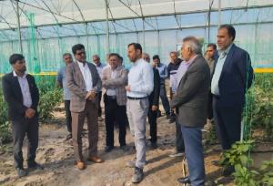 فرماندار رودان: ساماندهی حریم رودخانه آب‌نما ضروری است