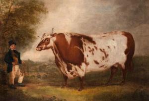 ماجرای نقاشی‌‌هایی که از گاوهای مستطیلی کشیده شده‌اند