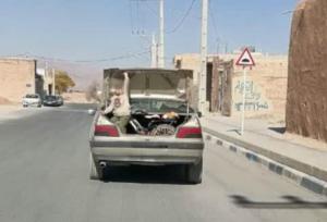 مولوی: پدر بی‌احتیاط، کودک را در صندوق عقب پنهان کرد