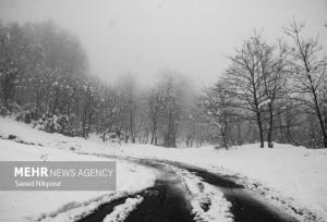 جمشیدی: بارش برف در ارتفاعات تالش؛ تردد با زنجیر چرخ امکانپذیر است