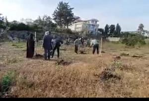 پویش نهالکاری «در سایه مادر» در ساحل مازندران
