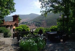 روایتی از روستایی در مازندران که جهان را شگفت‌زده کرد