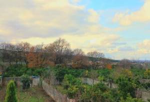 ایده «یک، دو، سه طبیعت»؛ نقشه راهی برای مشارکت مردمی در حفظ محیط‌زیست