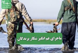 ماجرای غم انگیز شکار پرندگان