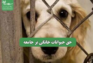 حق حیوانات خانگی بر جامعه