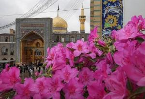 فضاآرایی و آذین بندی حرم مطهر رضوی به مناسبت عید قربان