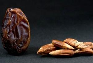 هسته این گیاه منبع پیشگیری از دیابت و سرطان است