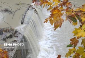 بارش باران در یزد/ ارتفاعات سفیدپوش شد