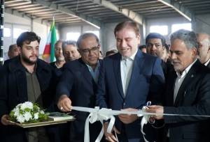 مظفری: زنجیره تولید آبزی‌پروری در بوشهر تکمیل می شود