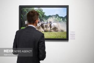 دوازدهمین مسابقه بین‌المللی عکاسی خبری آندری استنین آغاز شد