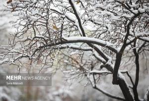 بارش برف در نورآباد