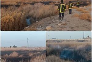 استانداری: دود سیاه در آسمان قم ناشی از سوزاندان ضایعات در حاشیه نیزار بود