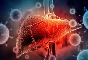 چشم‌انداز تازه درمان بیماری‌های کبدی با کمک سلول‌های بنیادی