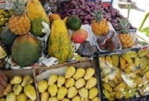 تولید سالانه ۲۹۷ هزار تن میوه‌ گرمسیری در سیستان و بلوچستان