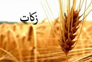 مردم آذربایجان غربی امسال ۱۲۵ میلیارد تومان زکات داده اند