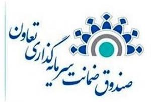 صندوق ضمانت تعاون؛ گرفتار کمبود سرمایه