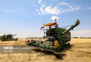 خرید تضمینی ۳۴۸ هزار تن گندم در استان ایلام