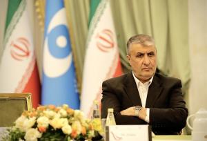 آژانس درسال گذشته بیش از۴۵۰ بازرسی انجام داد