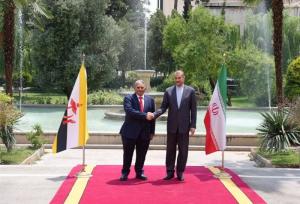 دیدار وزیر خارجه برونئی دارالسلام با امیرعبداللهیان