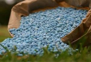 تأمین و توزیع کود شیمیایی در کردستان ۲۱ درصد افزایش یافت