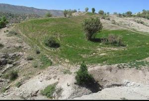 صدور سند تک برگ برای ۹۸ درصد اراضی طبیعی شهر ری