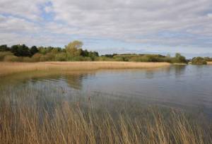 حفاظت از تالاب‌ها، حفاظت از حیات