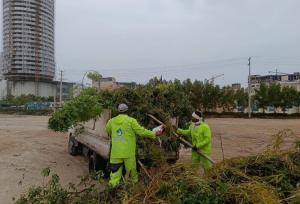 طوفان اخیر ۱۰۰۰ درخت و درختچه را در  قشم ریشه‌کن کرد