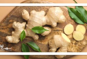 زنجبیل؛ اکسیر طلایی از دل طبیعت برای سلامتی، زیبایی و آرامش