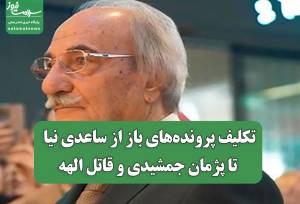 تکلیف پرونده‌های باز از ساعدی نیا تا پژمان جمشیدی و قاتل الهه