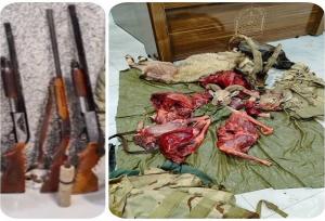 ۵۱ قبضه سلاح شکاری و لاشه ۲۸ پرنده وحشی در مازندران کشف شد