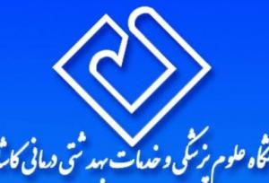 ۲پژوهشگر علوم پزشکی کاشان بین ۱درصد پژوهشگران پراستناد جهان قرارگرفتند