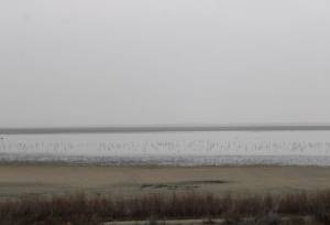 وقتی افزایش دما، تالاب‌های گلستان را سر می‌کشد + عکس