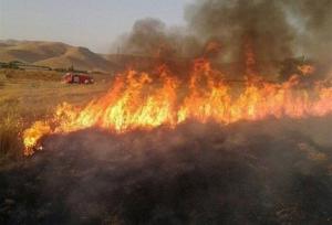 نزدیک به ۴ هکتار از مراتع استان قزوین دچار آتش سوزی شد 