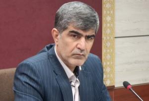 فرماندار ملارد: ۲۳۰۰ تبعه غیرمجاز در ملارد جمع آوری شدند