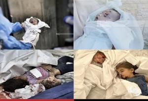 شهادت ۴۴ فلسطینی دیگر در غزه