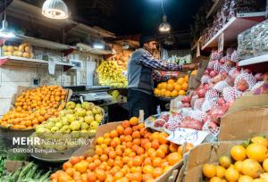 قنبری: میوه شب یلدا در ۹ غرفه سطح شهر مشهد توزیع می شود