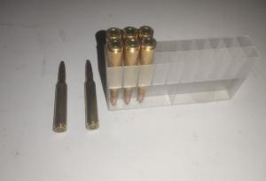 شکارچیان متخلف در پناهگاه حیات‌وحش صیدوا به دام افتادند