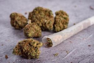 یک سوداگر مرگ با بیش از ۱۲ کیلو حشیش در میناب زمین‌گیر شد