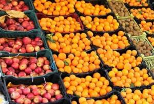 سرپرست تعاون روستایی یزد: منافع توزیع میوه تنظیم بازار باید مستقیماً به مردم برسد