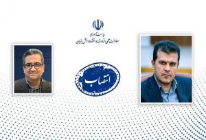 دبیر ستاد توسعه علوم و فناوری‌های شناختی معاونت علمی منصوب شد
