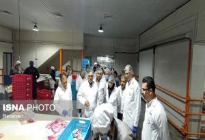 معاون استاندار زنجان: نظارت در کشتارگاه‌های طیور، نقش کلیدی در حفظ سلامت جامعه دارد