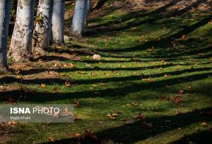 تداوم پایداری هوا در گیلان/ وزش باد در مناطق کوهستانی