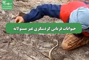 حیوانات قربانی گردشگری غیر مسئولانه